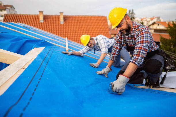 Best Roof Moss and Algae Removal  in Rockville, MN